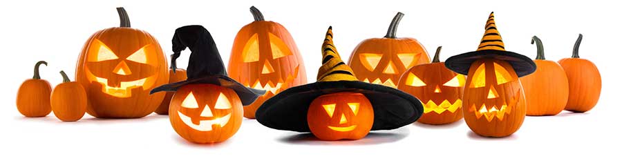 pumpkins2 pumpkins2